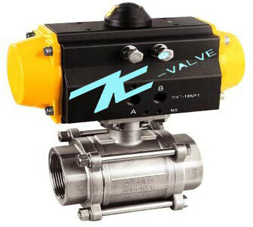 �����S���D